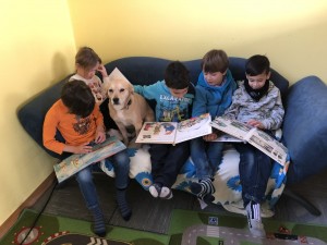 Bild 4